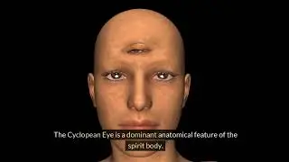 A Visionary Solution: The Clinical Theory of Everything