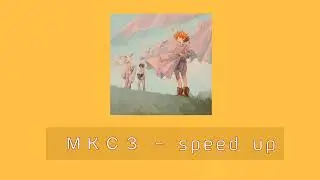МКСЗ - speed up