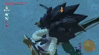 BOTW - The savage road - Lynel fight compilation