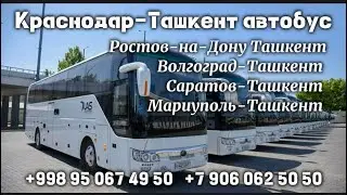 автобус краснодар-ташкент прямой рейс 2023,￼ Ростов-на-Дону Ташкент, Волгоград Ташкент автобус