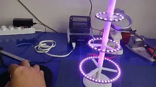 A Iluminação de nossa Árvore de Natal
