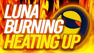 ⚠️TERRA LUNA NEWS🚨MAJOR BURN UPDATE, CONTRACT NEWS😱WRAPPED LUNA UPDATES & MORE