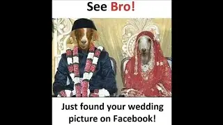 Love marriage #shorts #youtubeshorts #memes
