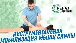ИММТ мышц спины