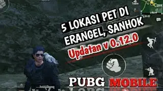 LOKASI BURUNG FALCON PUBG || PUBG MOBILE