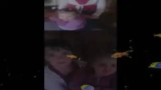 les_nenettes._1.avi