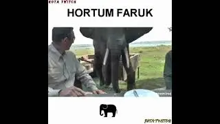 FURKAN EMİRCE - HORTUM FARUK #shorts #furkanemirce #faruk #keşfet #trending #trendingshorts