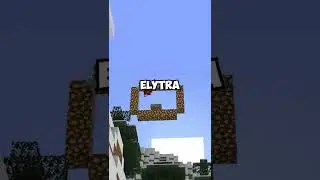 The Great Elytra Race!