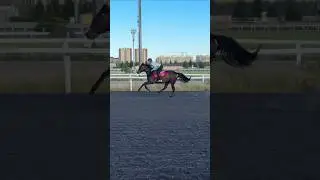 Улетай словно птица 😍 #губин #лошади#horse #скачки #улетай
