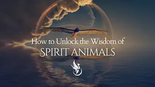 How to Unlock the Wisdom of Spirit Animals