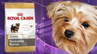Корм для собак Royal Canin | Отзывы | Производитель.
