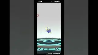 From Cute to Commanding: Chinchou's Stunning Evolution in Pokemon Go! #shorts