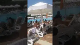 27 июня 2024 г.
