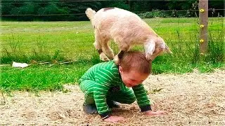 New Funny Baby Playing With Cutest Animal|Funny Baby Videos 