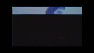 Cactus? - Late Night Noises