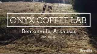 Virtual tour of Onyx Coffee Lab in Arkansas