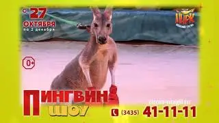 пингвин шоу Нижний Тагил