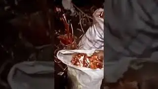 copper scrap