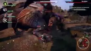 Dragon Age Nordjäger