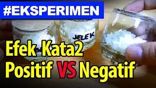 Eksperimen kata-kata positif / negatif | #Hari 0