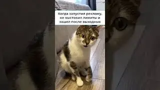 Не выставил лимиты в Яндекс.Директе