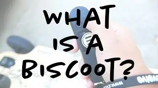 What is a Biscoot? | VLOG# 003