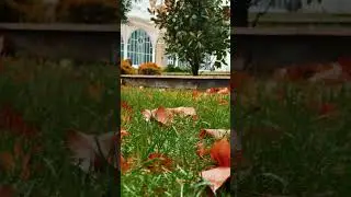 Махачкала центральная мечеть