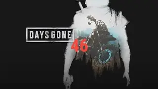 46