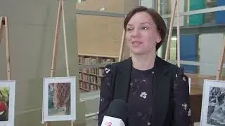 Nauja mobilioji programėlė „Draugoteka“. Vaikus ir jaunimą pažaisti kviečia bibliotekos