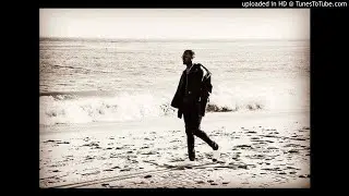 Chris Brown - Gave You Love