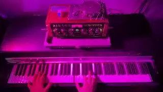 Pink Floyd - SHEEP intro Rhodes / Binson Echorec