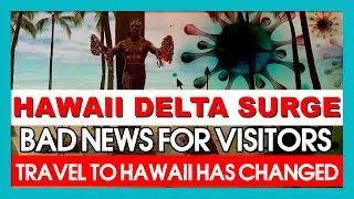 DON'T TRAVEL to Hawaii until you WATCH THIS! | NEW TRAVEL UPDATE