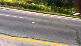 BMW M3 race