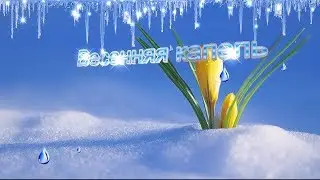 МИАМ, Магия Творчества. Сборник Видео-Работ в BluffTitler