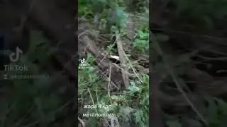 #лето#жара#коп#архив