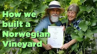 How we started our Norwegian vineyard in the Sognefjord