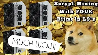 2026 Scrypt ASIC Merge Mining: 5 Tips to Manage LTC, DOGE & More for Max Profits