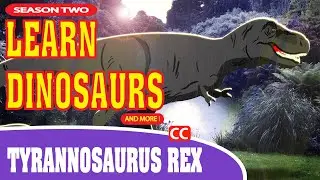 Dinosaurs T Rex Tyrannosaurus Rex