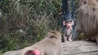 Aluna hanging out with family