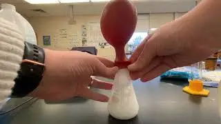 Limiting Reactant & pH Lab