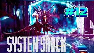 ПАЛУБА ЮРСКОГО ПЕРИОДА - System Shock Remake #12