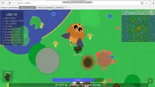 ИГРАЮ В МОП  ИО ДЖУНГЛИ СКИНЫ
