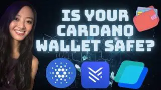 SecondFi/Yoroi CARDANO Wallet Hack! | Next Steps???