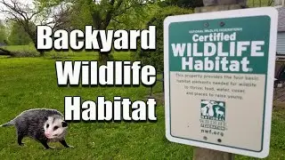 Backyard Wildlife Habitat | National Wildlife Federation