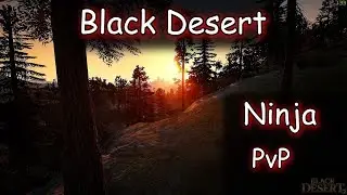 Black Desert. PvP Ninja Vs Striker
