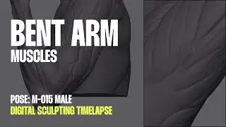 Male arm anatomy - Digital sculpting timelapse (Pose: M-015)