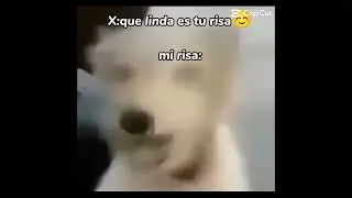 mi risa XD #video #viral #animation #suscribete #pliss #humor