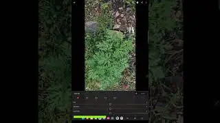 Speed editing Nature Photo in Lightroom Mobile