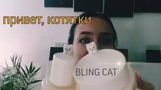 МИМИШНЫЕ ШТУЧКИ || ТОНЕР И КРЕМ BLING CAT