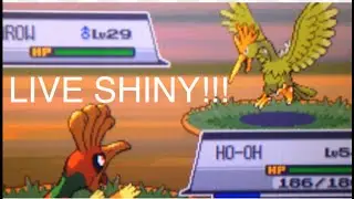45 - (LIVE REACTION) Shiny Fearow (2 Month Drought Over!!!)